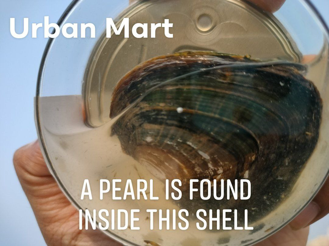 Love Pearl Locket Necklace Set - Image 10